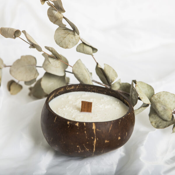 Kokoso žvakė su medine dagtimi